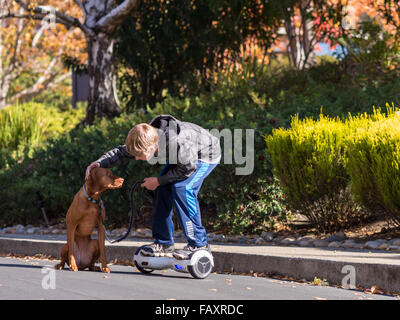 REDDING, CA, Stati Uniti d'America - 24 novembre 2015: ragazzo adolescente passeggiate cane con auto-bilanciare due-scooter a ruote, chiamato anche un hoverboard. Foto Stock