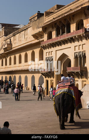 Equitazione elefante in Rajasthan Foto Stock