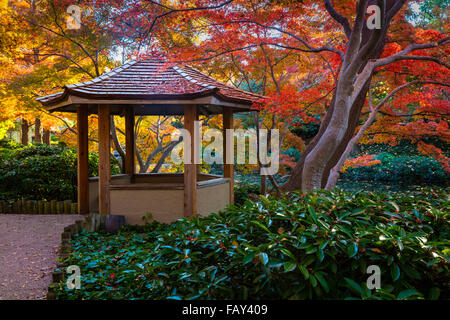 Il Fort Worth Giardino giapponese è una 7.5 acri di giardino giapponese in Fort Worth (Texas) Giardino Botanico Foto Stock