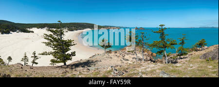 Spiaggia di bianchi, Medio Percy Isola, Queensland. Foto Stock