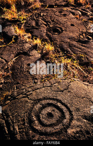 Big Island, Hawaii, Volacoes Hawaii National Park, Pu'uloa incisioni rupestri in ahupua'a(la divisione della terra) di Panau Nui Foto Stock