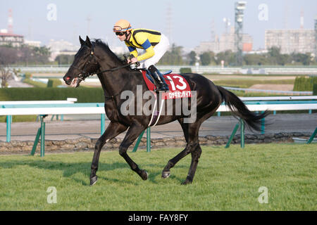 Hyogo, Giappone. Il 26 dicembre, 2015. Rosa Gigantea ( Mirco Demuro) Horse Racing : Rosa Gigantea cavalcato da Mirco Demuro prima della Coppa di Hanshin all Ippodromo di Hanshin a Hyogo, Giappone . © Eiichi Yamane/AFLO/Alamy Live News Foto Stock