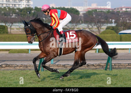 Hyogo, Giappone. Il 26 dicembre, 2015. Direttore di ballo (Suguru Hamanaka) Horse Racing : Danza Direttore cavalcato da Suguru Hamanaka prima della Coppa di Hanshin all Ippodromo di Hanshin a Hyogo, Giappone . © Eiichi Yamane/AFLO/Alamy Live News Foto Stock