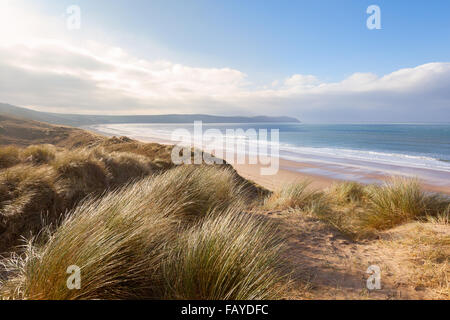 Erba spazzate dal vento sulle dune di sabbia sopra Woolacombe Beach in North Devon, Inghilterra Foto Stock