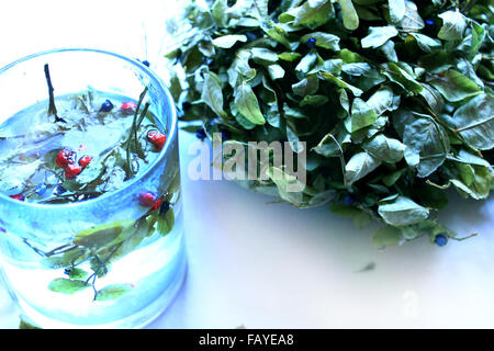 Utile di infuso di tè dalle foglie e bacche di mirtillo e bacche di schisandra Foto Stock