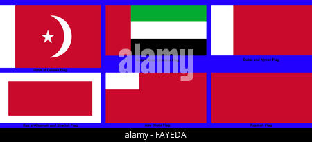 La bandiera degli Emirati Arabi Uniti Sub nazionale in Asia occidentale Foto Stock