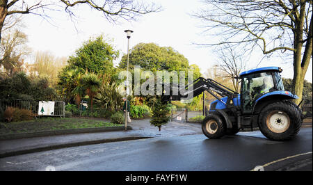 Brighton Regno Unito 6 Gennaio 2016 - Natale e Anno Nuovo è veramente bene e su ora come personale del consiglio di iniziare a rimuovere le centinaia di alberi di Natale a sinistra a un punto di riciclaggio in Queens Park Brighton Credito: Simon Dack/Alamy Live News Foto Stock