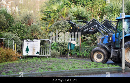 Brighton Regno Unito 6 Gennaio 2016 - Natale e Anno Nuovo è veramente bene e su ora come personale del consiglio di iniziare a rimuovere le centinaia di alberi di Natale a sinistra a un punto di riciclaggio in Queens Park Brighton Credito: Simon Dack/Alamy Live News Foto Stock