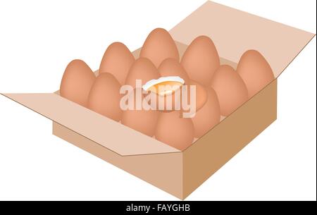 Frutta fresca, una illustrazione di fresco uova di pollo e uova incrinate in una scatola di cartone, pronti per la spedizione o consegna. Illustrazione Vettoriale