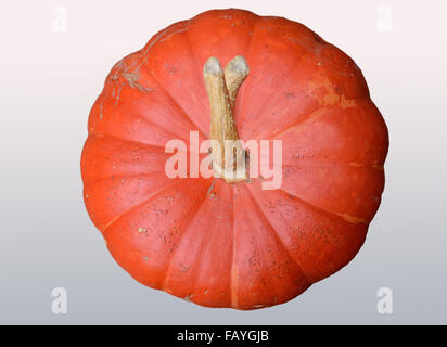 Arancio brillante zucca overhead shot che mostra la sua traversata cicogna su come dita incrociate Foto Stock