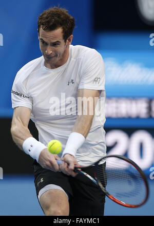Perth, Western Australia, Australia. Il 6 gennaio, 2016. ANDY MURRAY di Gran Bretagna colpi di rovescio sparato contro N. Kyrgios dell Australia durante i loro uomini singoli match il giorno 4 presso la Hopman Cup torneo di tennis a Perth in Australia. Kyrgios sconfitto Murray 6:4, 7:6. © Theron Kirkman/ZUMA filo/Alamy Live News Foto Stock