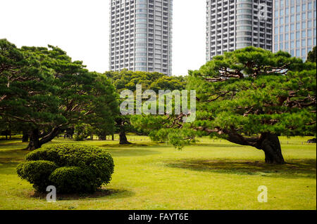 Giardini Hama-Rikyu, Shimbashi, Tokyo, Giappone Foto Stock