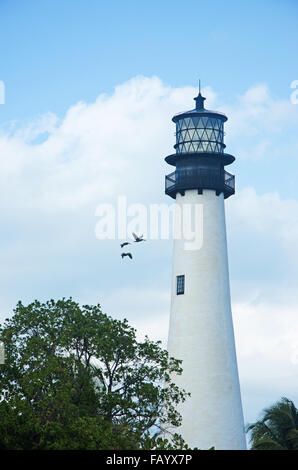 Florida, Key Biscane: vista del capo Luce della Florida, il faro di Bill Baggs Cape Florida State Park, l'area protetta dell'Oceano Atlantico Foto Stock