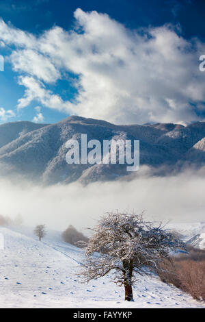 Carpazi montagne coperte di neve e il bel sole accesa Foto Stock