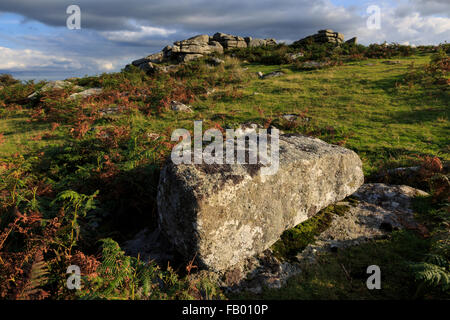 Combestone Tor è un facilmente accessibile il granito tor su Dartmoor Devon, circondato da esposti brughiera Foto Stock