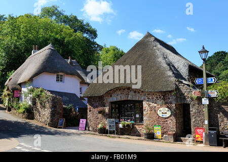 Vecchio cottage con il tetto di paglia nel centro di Cockington, un vecchio villaggio pittoresco vicino a Torquay, Devon Foto Stock