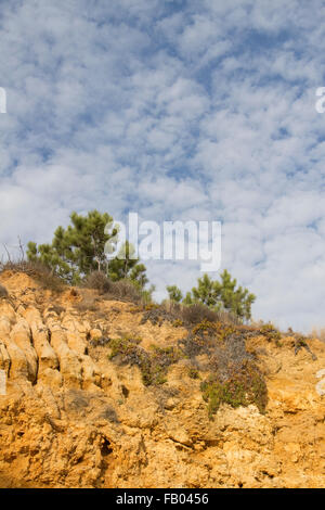 Scogliere calcaree a praia de santa eulalia, nei pressi di Albufeira, Algarve, PORTOGALLO Foto Stock