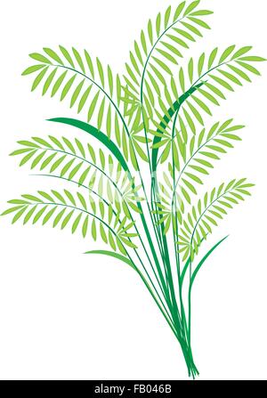 Concetto ambientale, illustrazione vettoriale di bel verde riso, cereali, piante o foglie di felci isolati su sfondo bianco. Illustrazione Vettoriale