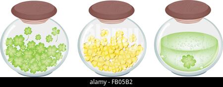 Simboli per la fortuna e la fortuna, illustrazione di vettore di quattro Leaf Clover, trifoglio d'oro e verde di birra in tre vasetto in vetro per SAN P Illustrazione Vettoriale