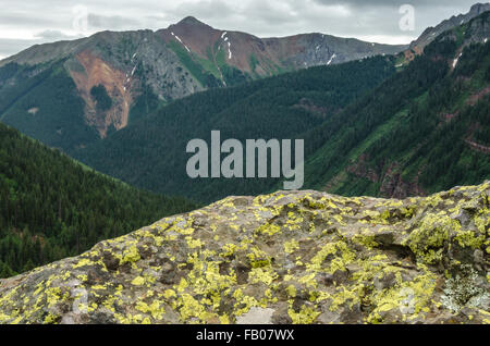 Lichene verde cresce su un masso che si affaccia su Colorado alti picchi di montagna Foto Stock