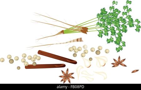 Un mucchio di spezie cinesi, essiccato Anice Stellato, bastoncini di cannella, a secco di pepe, aglio e coriandolo utilizzato per il condimento in cucina Illustrazione Vettoriale