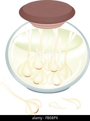 Illustrazione della deliziosa Garlics decapata o Garlics marinato in aceto e sale in un barattolo di vetro isolato su sfondo bianco. Illustrazione Vettoriale