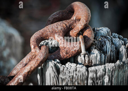 Frammento di metallo arrugginito ringhiera della catena sul vecchio legno stagionato post di Key West Harbour, Florida. I dettagli di Marina. Foto Stock