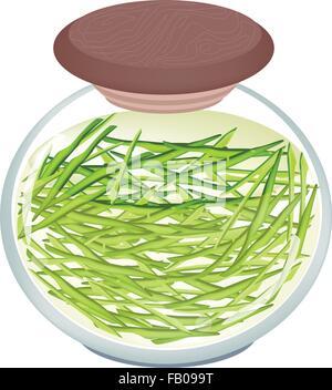 Illustrazione di una deliziosa decapato verde Julienne di peperone dolce in aceto, zucchero, sale e la salsa in un vasetto di vetro. Illustrazione Vettoriale