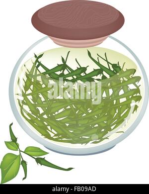 Illustrazione di una deliziosa decapati peperoncini verdi in aceto, zucchero, sale e la salsa in un vasetto di vetro isolato su bianco Bac Illustrazione Vettoriale