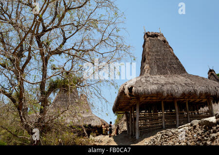 Villaggio tradizionale di Prai Goli durante la stagione secca a Waihura, Wanokaka, West Sumba, East Nusa Tenggara, Indonesia. Foto Stock