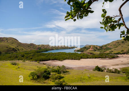 Il paesaggio dell'isola di Rinca mostra la terra asciutta, la foresta di mangrovie, la baia di Loh Buaya e le colline adiacenti, tutto fa parte del Parco Nazionale di Komodo in Indonesia. Foto Stock