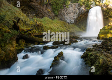 Sahalie Falls è una famosa cascata che si trova fuori del fiume McKenzie in autostrada in Linn County, Oregon. Foto Stock