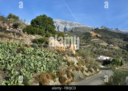 Spagnolo SPAGNA Andalusia ( Sierras di Tejeda, Almijara e Almara Parco Naturale ) Foto Stock