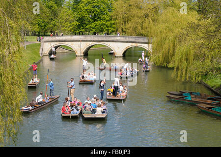 Punting sul fiume Cam dietro i collegi in una zona denominata i dorsi, Cambridge, Inghilterra, Regno Unito Foto Stock