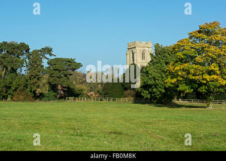 La Chiesa di tutti i santi, dunsby, lincolnshire pigoli da dietro alcuni alberi. Foto Stock