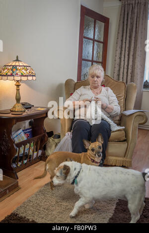 Una signora anziana a casa maglia nella sua poltrona Foto Stock
