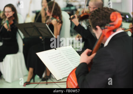 Musicista classico riproduzione di viola con note musicali Foto Stock