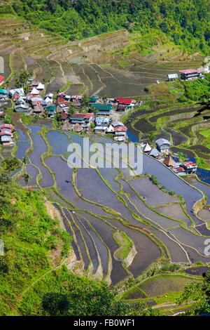 Agricola terrazze di riso da Batad Filippine Foto Stock