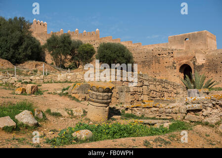 Resti di colonne nel sito archeologico della città romana conosciuta come Sala Colonia in Chellah. Chellah è la necropoli di Rabat Foto Stock