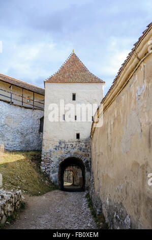 Fortezza Rasnov resti in Romania dal XIII secolo, dicembre 2014 Foto Stock