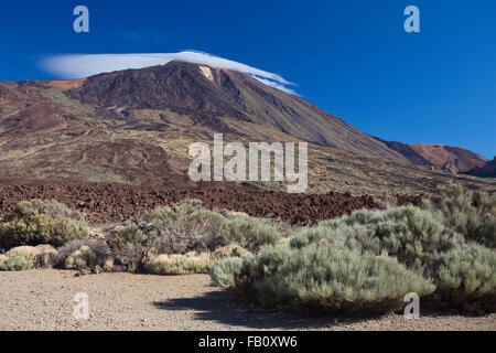 Il monte Teide, Tenerife, Isole Canarie Foto Stock