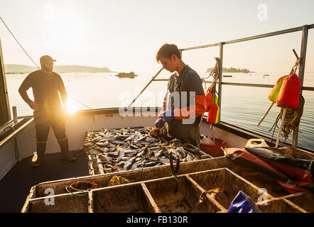 Due pescatori che lavorano in barca Foto Stock
