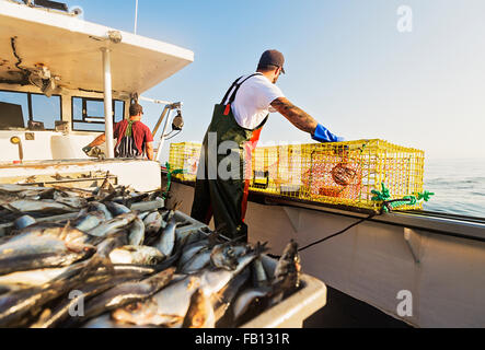 Due pescatori gettando le trappole di aragosta Foto Stock