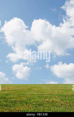 Verde prato con cielo molto nuvoloso Foto Stock