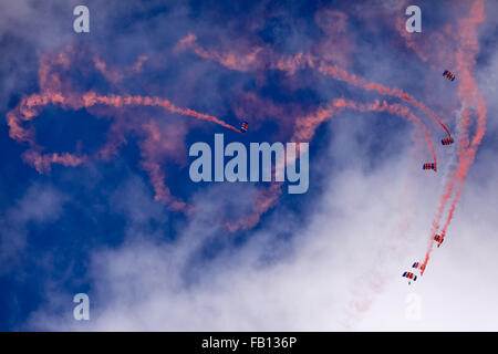 RAF Falcolns paracadute team display terra a Chester Races durante una gara di soddisfare . 29/9/12 . È stata la Falcolns ultimo display saltare o Foto Stock