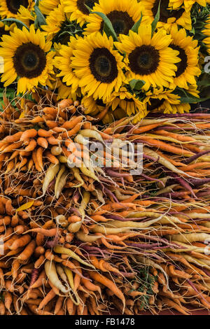 Le carote e i girasoli nel mercato degli agricoltori Foto Stock