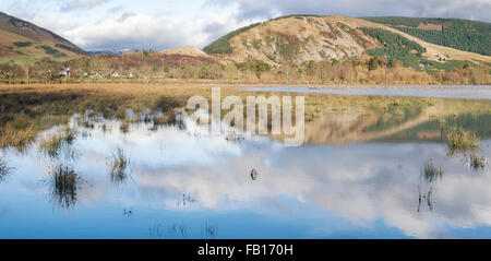 Campi allagati in Scottish Borders. Scozia Foto Stock