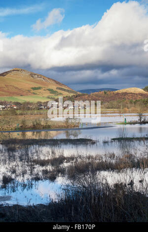 Campi allagati in Scottish Borders. Scozia Foto Stock