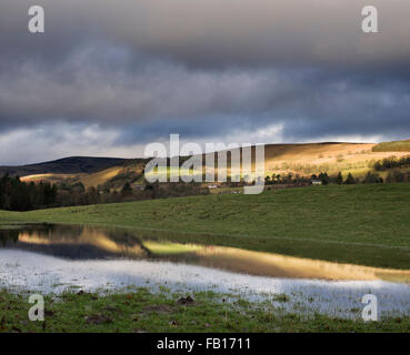 Campi allagati in Scottish Borders. Scozia Foto Stock