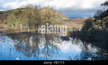 Campi allagati in Scottish Borders. Scozia Foto Stock